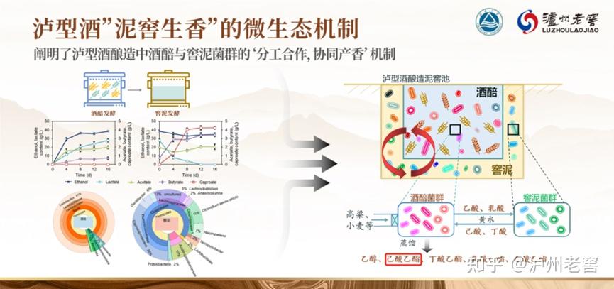 泸州市老酒协会 泸州市老酒协会
