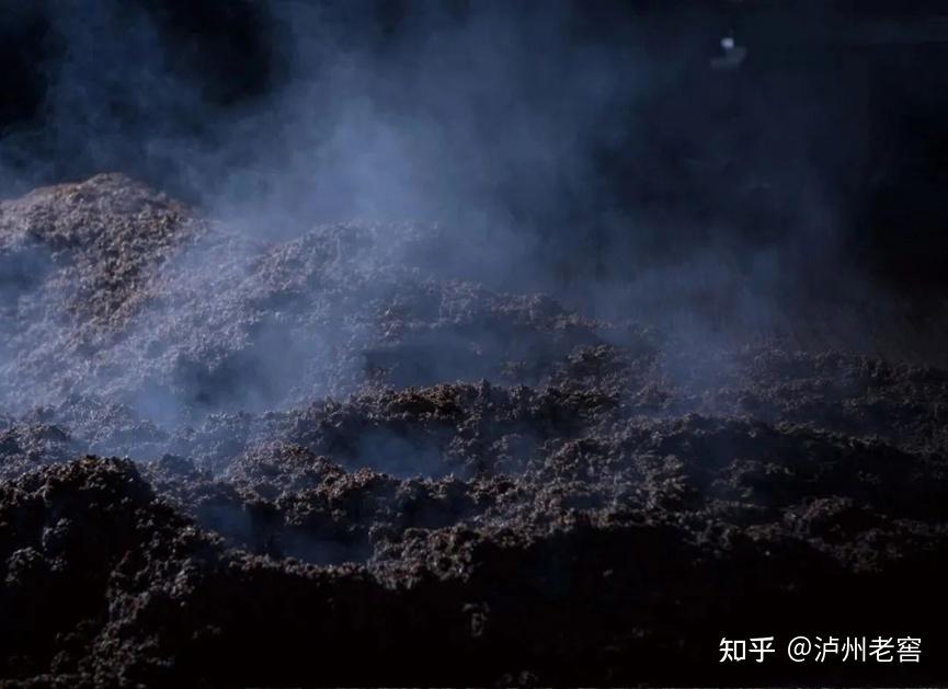 泸州市老酒协会 泸州市老酒协会