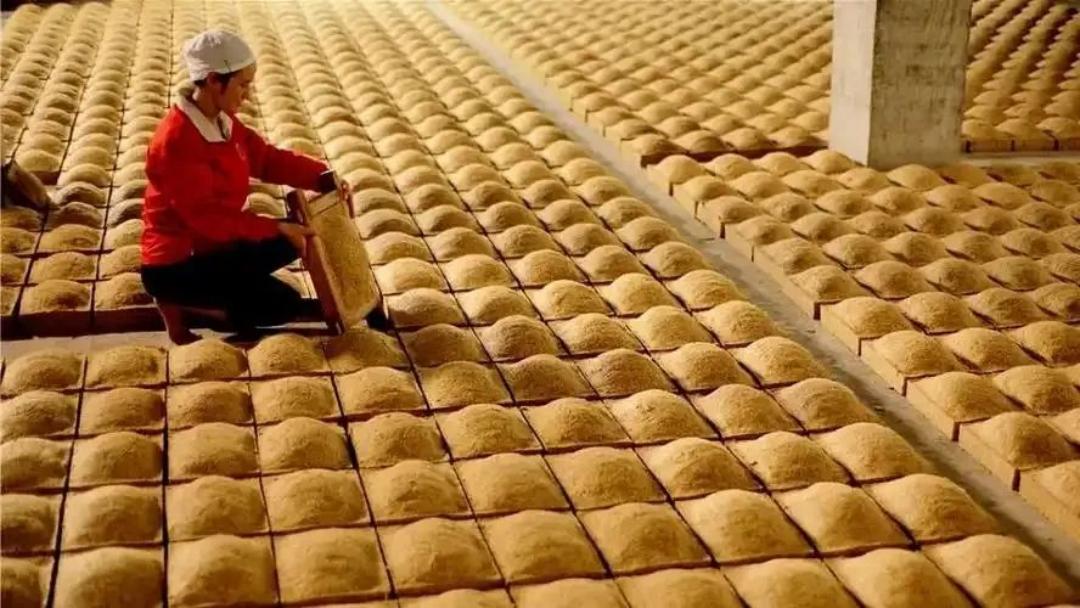 泸州市老酒协会