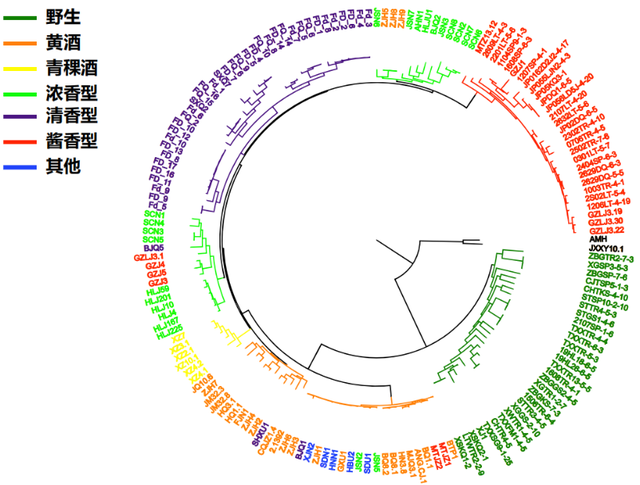 泸州市老酒协会 泸州市老酒协会